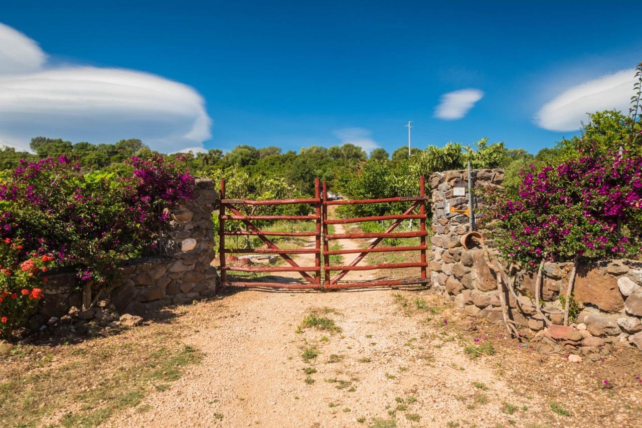 Sa Tanca 'E Pedduzza Villa Orosei Buitenkant foto