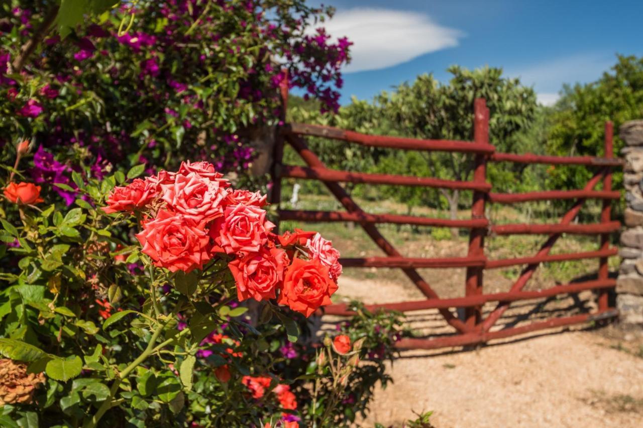 Sa Tanca 'E Pedduzza Villa Orosei Buitenkant foto