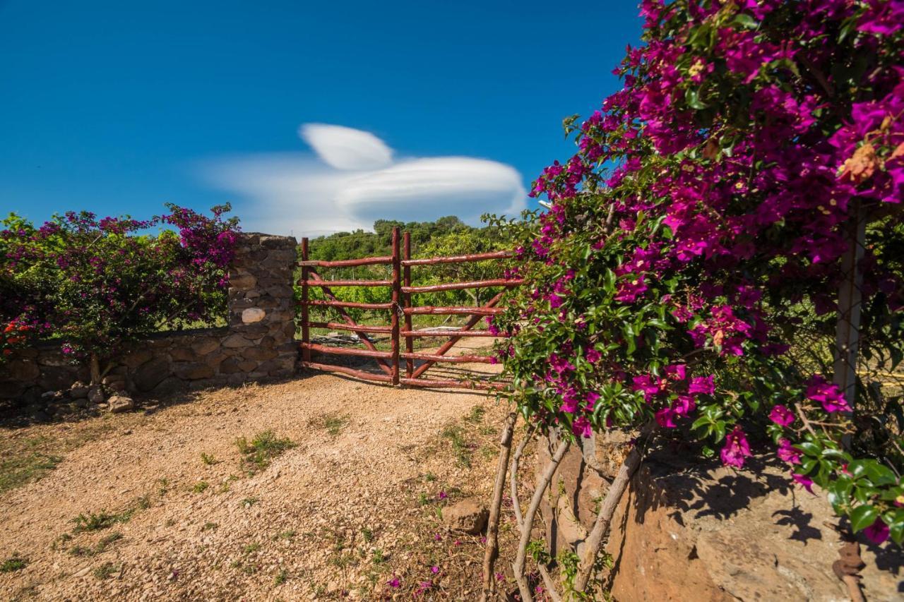 Sa Tanca 'E Pedduzza Villa Orosei Buitenkant foto