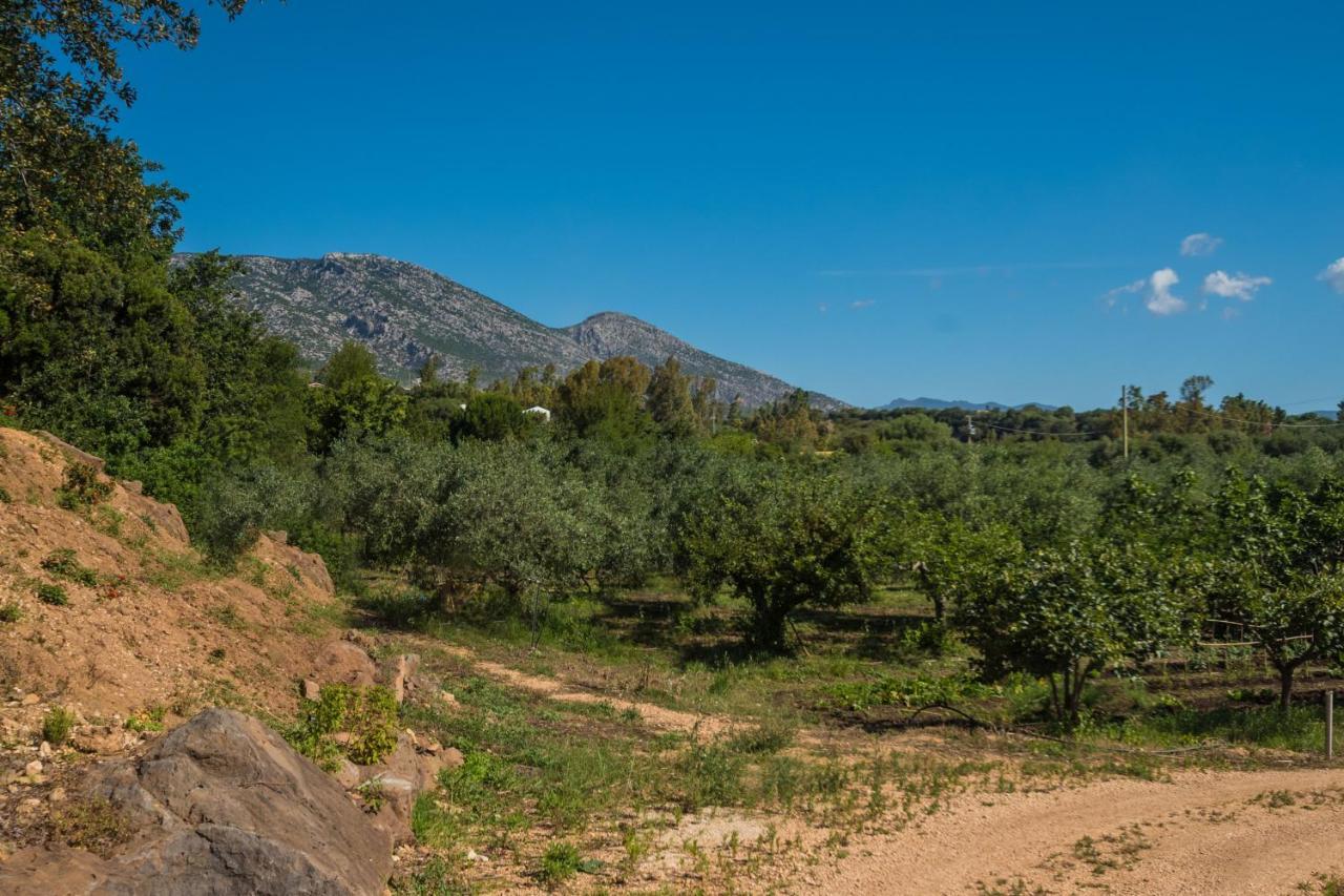 Sa Tanca 'E Pedduzza Villa Orosei Buitenkant foto